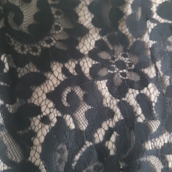 Chantilly Lace Black/Fleshtone Little Black dress PERFECT NYE PARTY DRESS - Picture 4 of 4